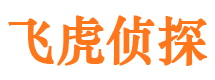 平塘侦探公司